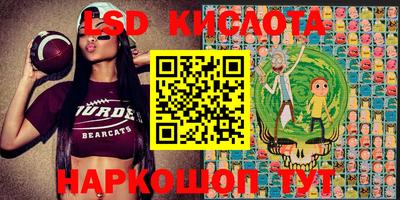 ПСИЛОЦИБИНОВЫЕ ГРИБЫ Первоуральск