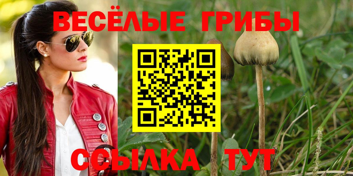 Галлюциногенные грибы Psilocybe  Вход с VPN  купить закладку  Тула 