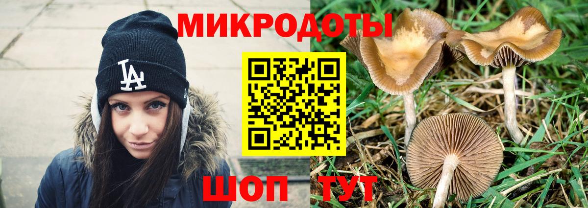Псилоцибиновые грибы мицелий Тула
